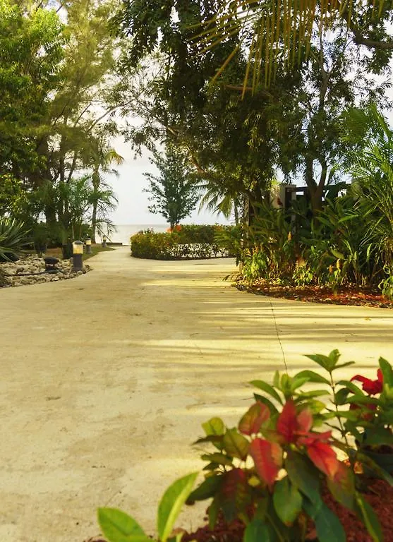 One Love Cozy Studio Seawind On The Bay Montego Bay Apartment