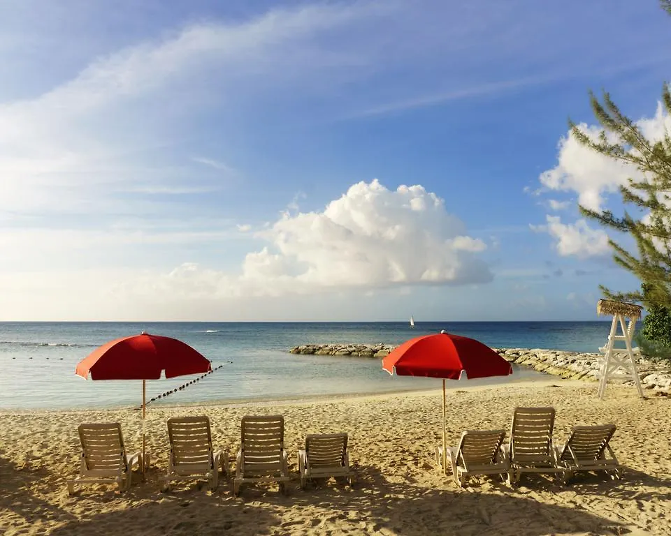 One Love Cozy Studio Seawind On The Bay Montego Bay Apartment