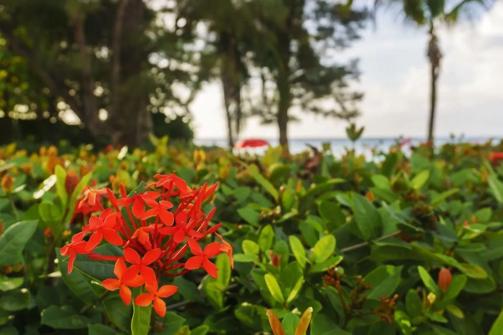 Apartment One Love Cozy Studio Seawind On The Bay Montego Bay Jamaica