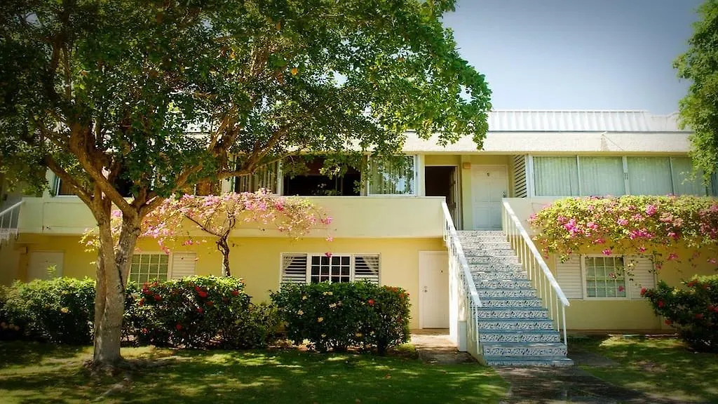 One Love Cozy Studio Seawind On The Bay Montego Bay Apartment